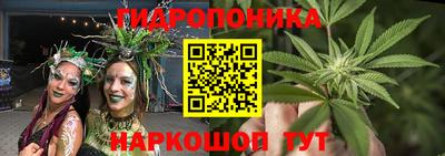 spice Балашиха