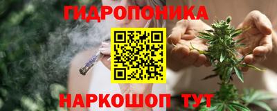 spice Балашиха
