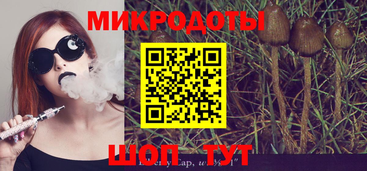 Будённовск  Псилоцибиновые грибы мицелий  Вход с VPN  Галлюциногенные грибы Cubensis 