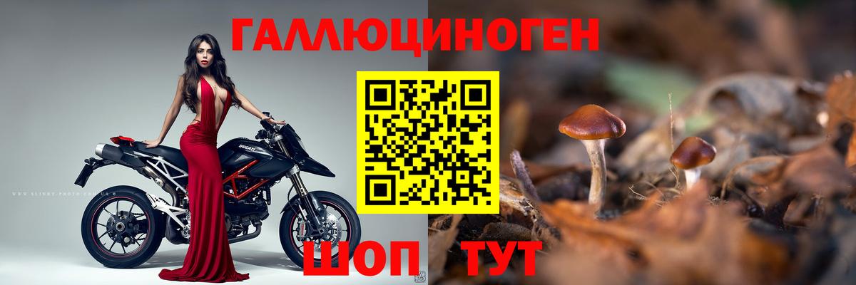 Будённовск  Галлюциногенные грибы Magic Shrooms  Вход с VPN 