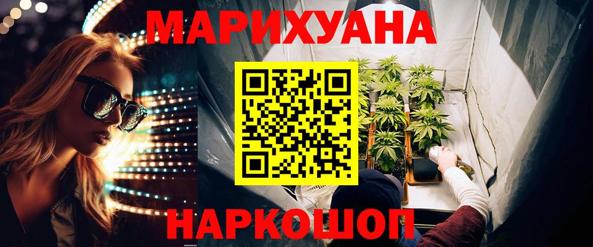 Бошки марихуана OG Kush Будённовск